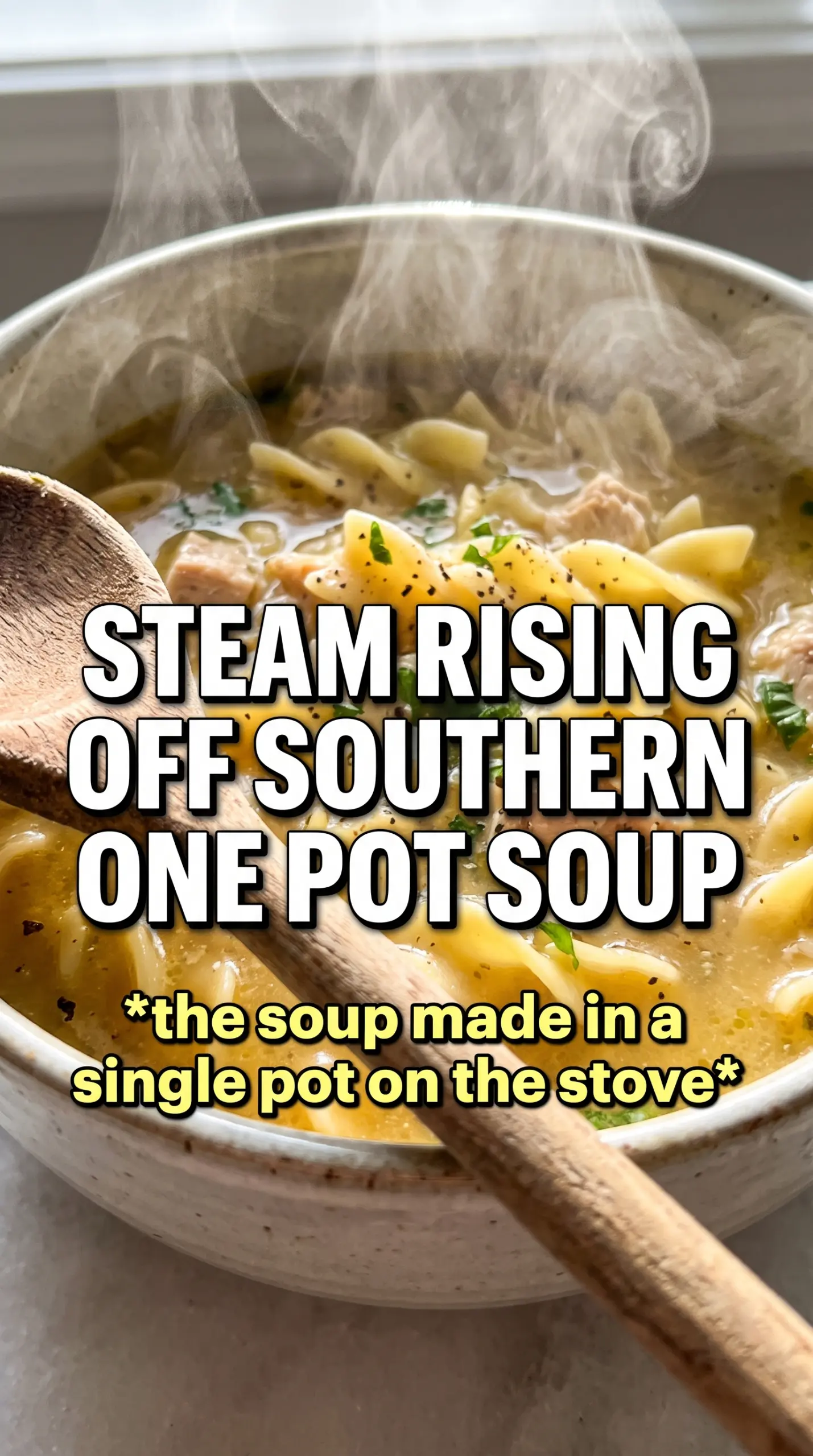Southern Style One Pot Chicken Noodle Soup golden broth egg noodles